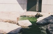 015-Baltimore Aquarium